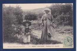 CPA [84] Vaucluse > Le Ventoux  Voir Dos Métier Cueillette De Lavande - Autres & Non Classés