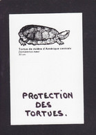 CPM Tortue Turtle Protection Animale Non Circulé - Schildpadden