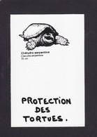 CPM Tortue Turtle Protection Animale Non Circulé - Schildpadden