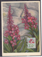 Islande - Carte Postale De 1958 - Oblit Reykjavik - Fleurs - - Covers & Documents