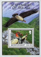 93751 MNH MONTSERRAT 1997 AVES NECROFAGAS - Autres & Non Classés