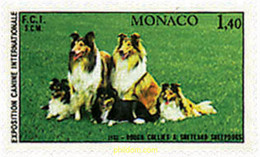 51021 MNH MONACO 1981 EXPOSICION CANINA INTERNACIONAL - Sonstige & Ohne Zuordnung