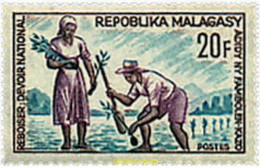 218923 MNH MADAGASCAR 1966 REFORESTACION - Agriculture