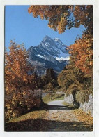 AK 120423 SWITZERLAND - Herbst Im Braunwald - Blick Gegen Ortstock - Braunwald