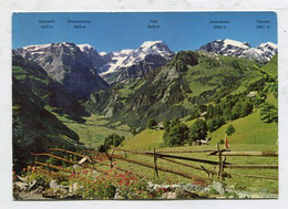 AK 120432 SWITZERLAND - Braunwald - Fernsicht Auf Tödi - Braunwald