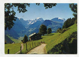 AK 120444 SWITZERLAND - Braunwald - Blick Gegen Tödikette - Braunwald