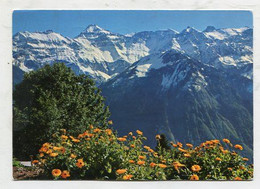 AK 120445 SWITZERLAND - Braunwald - Blick Auf Hausstock - Braunwald