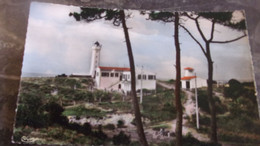 85 VENDEE LA TRANCHE SUR MER  LE NOUVEAU PHARE 1961 - La Tranche Sur Mer