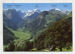 AK 120458 SWITZERLAND - Braunwald - Blick Auf Linthal Mit Tödikette - Braunwald