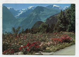 AK 120461 SWITZERLAND - Braunwald - Alpiner Rosengarten Mit Blickauf Tödigruppe - Braunwald