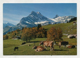 AK 120465 SWITZERLAND - Braunwald - Blick Gegen Ortstock - Braunwald