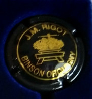 PLAQUE DE MUSELET DE CHAMPAGNE " BINSON ROQUIGNY N° 2b JM RIGOT " - Mignon, Pierre