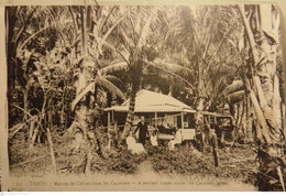 202659 TAHITI COSTUMES NATIVE AND HOUSE UNDER COCONUTS TREES POSTAL POSTCARD - Tahiti