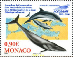 189893 MNH MONACO 2006 10 ANIVERSARIO DE LA ACCOBAMS - Other & Unclassified