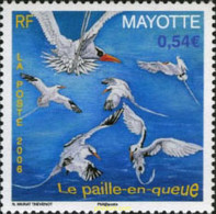 196730 MNH MAYOTTE 2006 ISLA PAILLE EN QUEUE - Other & Unclassified