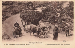 Creuse * Types Creusois * Villageois Et Attelage De Boeufs * Agriculture Agricole - Autres & Non Classés