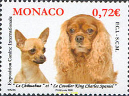 222883 MNH MONACO 2009 EXPOSICION CANINA - Altri & Non Classificati