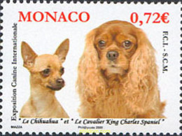 222883 MNH MONACO 2009 EXPOSICION CANINA - Autres & Non Classés