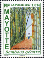 224259 MNH MAYOTTE 2007 BAMBUS GIGANTES - Other & Unclassified
