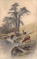 CHASSE - Cerf Dans La Nature - Illustration Non Signée - Carte Postale Ancienne - Hunting