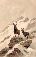 ANIMAUX - Cerf Dans La Nature Sur Un Rocher - Montagne - Carte Postale Ancienne - Andere & Zonder Classificatie