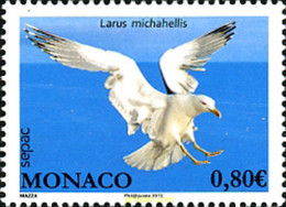 306213 MNH MONACO 2013 AVES MARINAS - Altri & Non Classificati