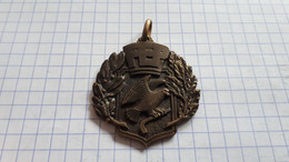 ESPAGNE BARCELONE NOVEMBRE 1955 FEDERACION ESPANOLA PATINAJE MEDAILLE RINK HOCKEY PATINS A ROULETTES 42/37MM 18.3GR - Professionali/Di Società