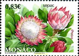 321883 MNH MONACO 2014 FLORES - SEPAC - Sonstige & Ohne Zuordnung