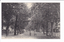 MONTLUEL - Promenade Des Tilleuls - Montluel