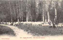 Lagny Sur Marne               77         Sous Bois Aux Vallières.  Moutons. Berger. Chiens  N° 108   (voir Scan) - Lagny Sur Marne