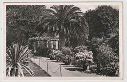 Insel Mainau Bei Konstanz, Baden-Württemberg - Konstanz