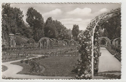 Karlsruhe, Rosengarten, Baden-Württemberg - Karlsruhe