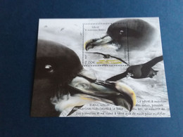 TAAF 2022 Mi.  1156 (Bl.99) Fauna. Birds. White-chinned Petrels MNH ** - Unused Stamps