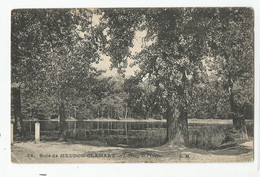 92 Hauts De Seine Bois De Meudon Clamart L'étang De L'ursine - Meudon