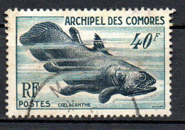 Col33 Colonie Archipel Des Comores N° 13 Oblitéré Cote : 25,00€ - Used Stamps