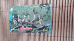 Phonecard Cayman Island  Bird 13CCIA Used Rare - Islas Caimán