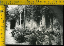 Fermo Città Palazzo Roccamadoro Ramelli - Il Cortile (foto) - Fermo