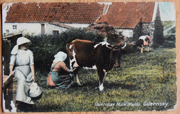 Guernsey - Milk Maids - Animée - Lived Up - Vaches Laitières - Cows - Mauvais état : Voir Photo - (n°25581) - Guernsey