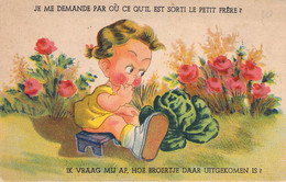 ENFANTS - HUMOUR - Enfant Assis Devant Un Chou - Carte Postale Ancienne - Humorkaarten