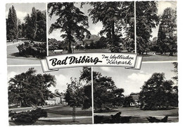 3490  BAD DRIBURG - Bad Driburg