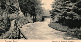 Partie Bei Haltestelle Seifersdorf Rabenauer Grund Saxony 1912 Used Real Photo Postcard. Publisher Hugo Engler, Dresden - Rabenau