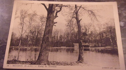 92 MEUDON ETANG DE TRIVEAUX - Meudon