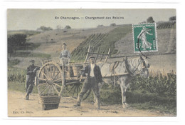 (34140-00) En Champagne - Chargement Du Raisin - Champagne-Ardenne