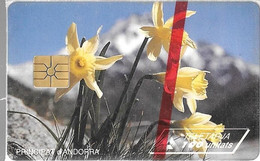 CARTE-PUCE-ANDORRE-100U-AND26-GEMB-Sans 2é Logo--06/95-NARCISSES JAUNES-N° Série 528558-NSB-TBE - Andorra