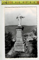 65740 -  ALLE S SEMOIS VUE DU SACRE COEUR - Vresse-sur-Semois