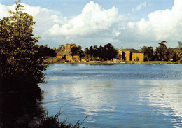 CPM - NOTTINGHAMSHIRE - Rufford Country Park - Sonstige & Ohne Zuordnung