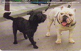 Télécarte à Puce Pays Bas - Animal - CHIEN BOULEDOGUE - BULLDOG DOG Netherlands Chip Phonecard - 1206 - Cani