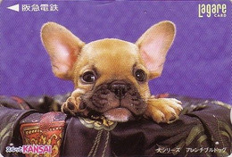 Carte Prépayée JAPON - Animal - CHIEN Bébé BOULEDOGUE - BULLDOG Dog JAPAN Kansai Lagare Card - BULLDOGGE Hund - 1214 - Perros