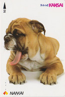Rare Carte JAPON - ANIMAL - Chien BOULEDOGUE Ou BOXER - Bulldog DOG JAPAN Nankai Bus Ticket Card - Hund - 1218 - Chiens