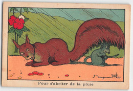 Delcampe - Benjamin RABIER - ILLUSTRATEUR - ECUREUIL - IMAE CARTONNEE - CHROMO (7x10,5cm) - TRES BON ETAT - Rabier, B.